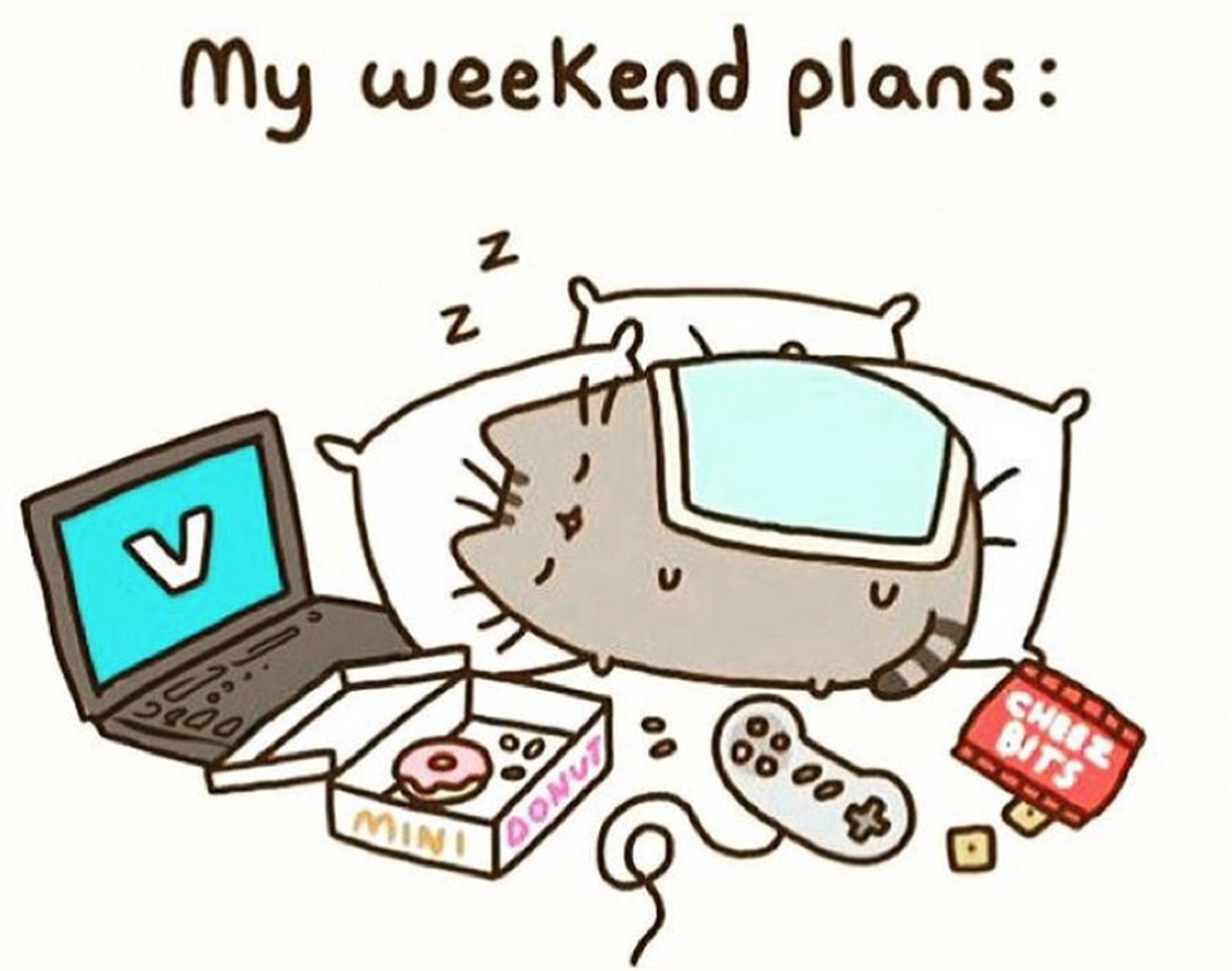 my weekend plans the Cat Photo