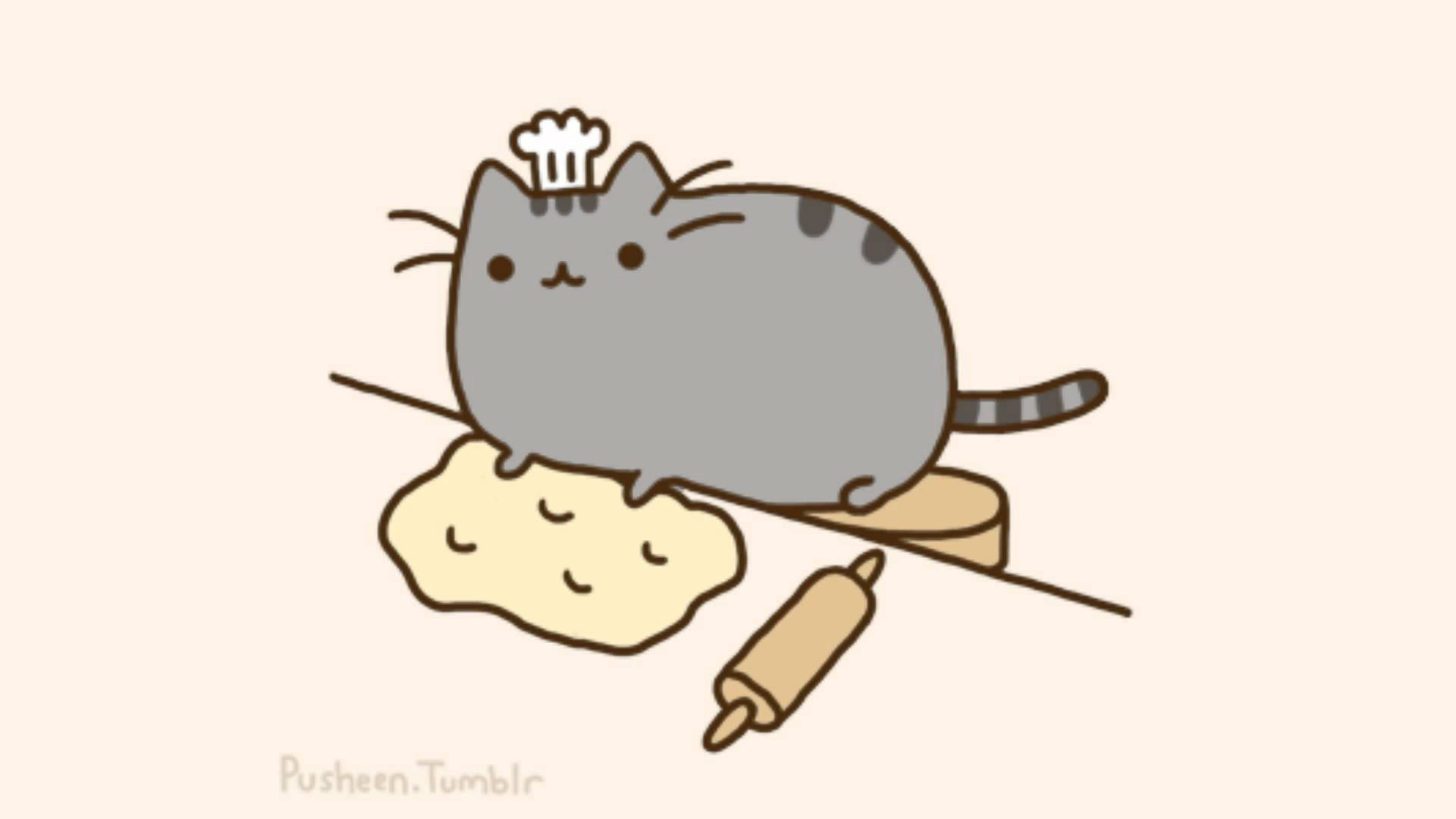 IT'S CATURDAY! Time For A Pusheen Pick Me Up Million Dogs