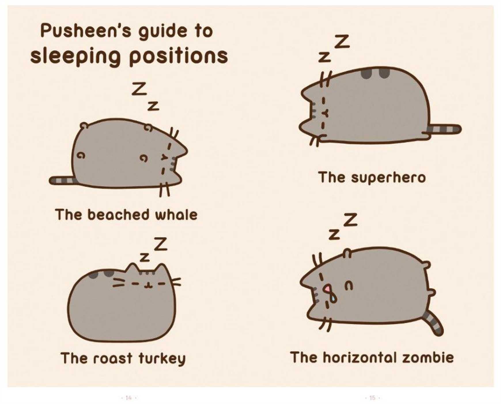 pusheen guide to sleeping postions the Cat Photo