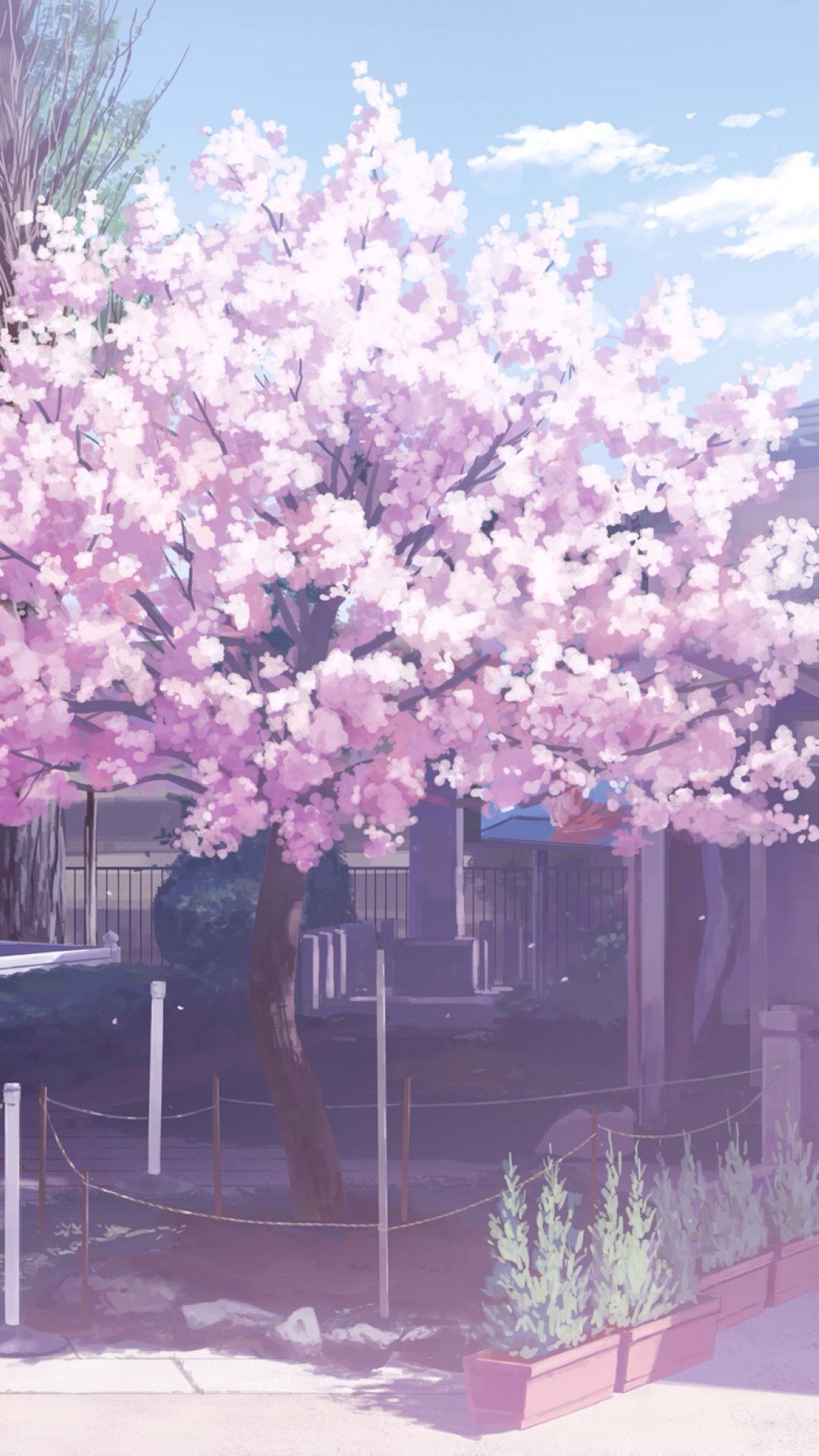 Pink Sakura Tree Anime Aesthetic Wallpapers - Wallpaper Cave