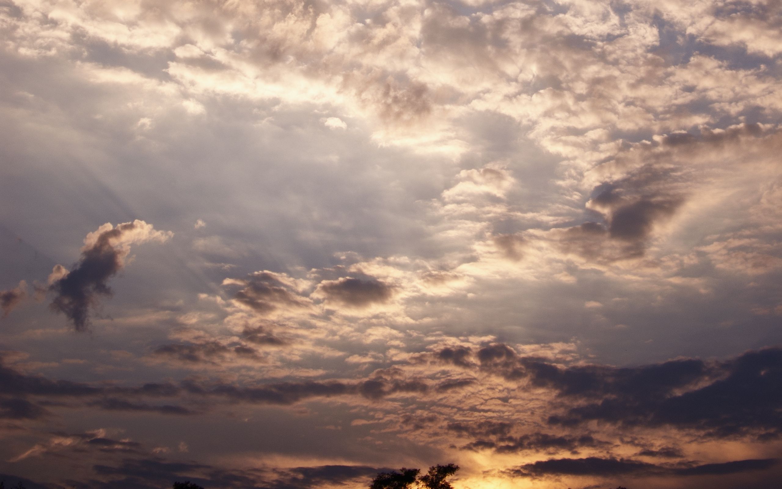 Download wallpaper 2560x1600 clouds, evening, cloudy, sky, sunset