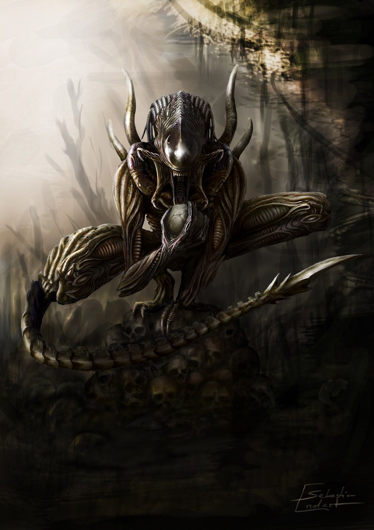 Predalien Wallpaper. Predalien Wallpaper