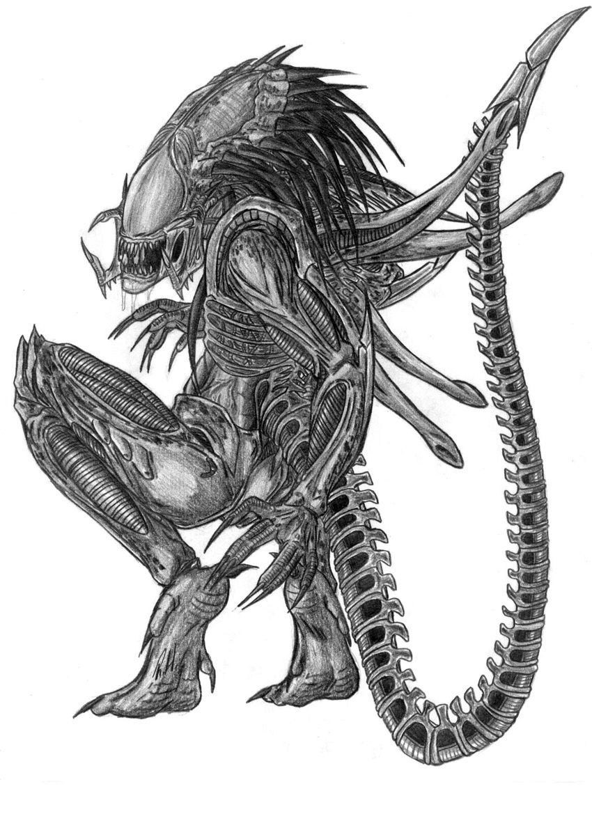 Best PredAlien image. Predator, Alien vs predator, Alien vs