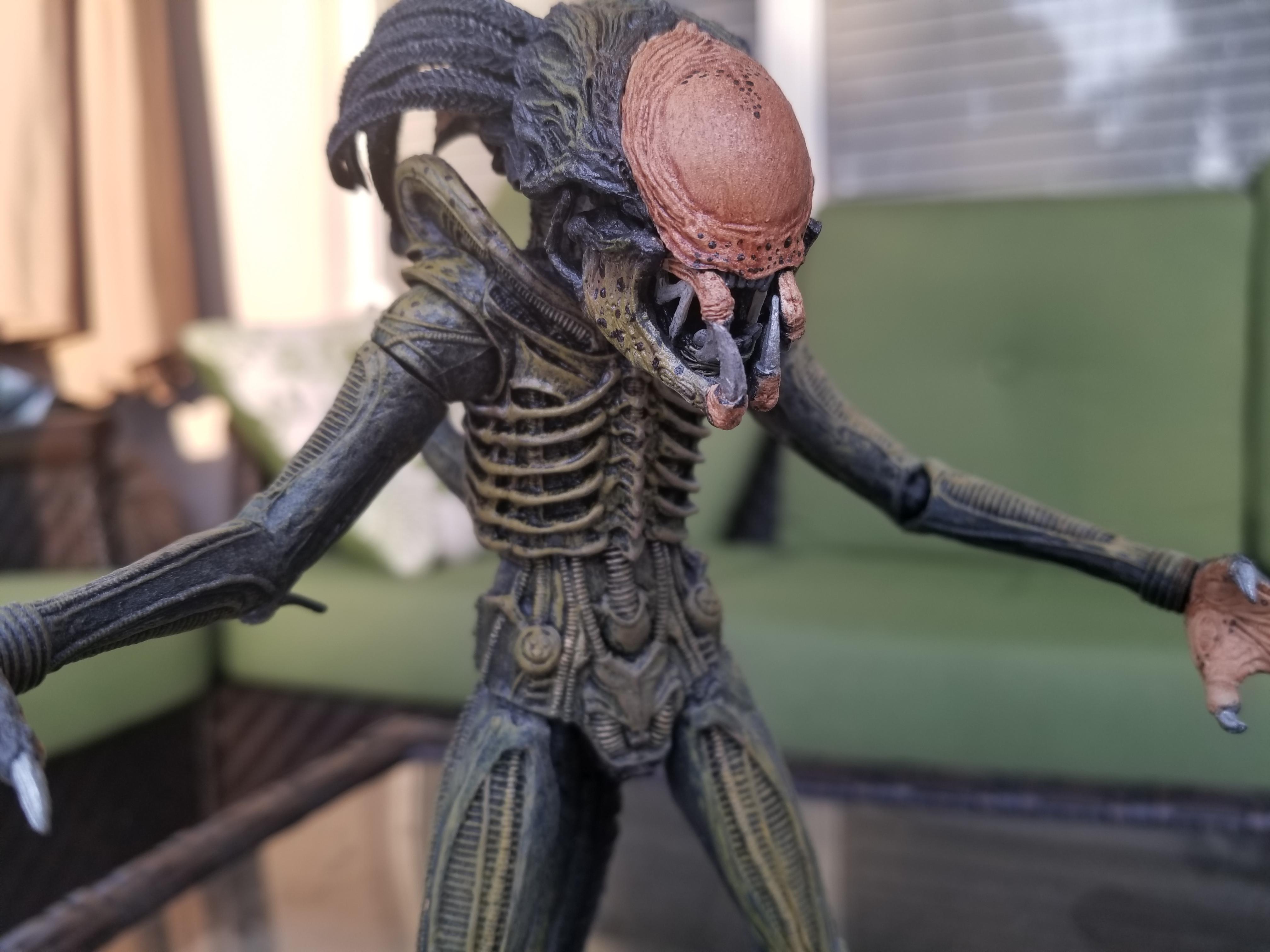 Custom Predalien Figure I did