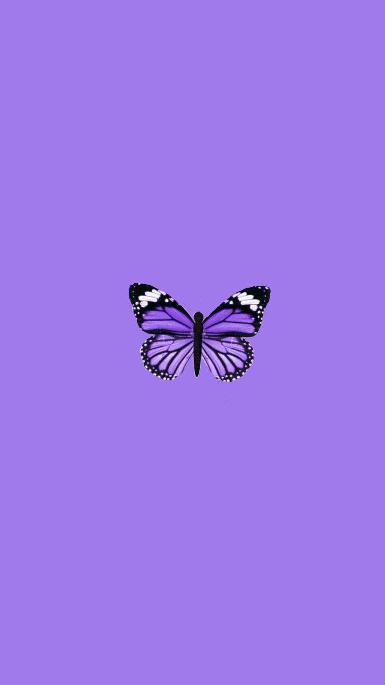 Baddie Purple Butterfly Wallpaper Aesthetic