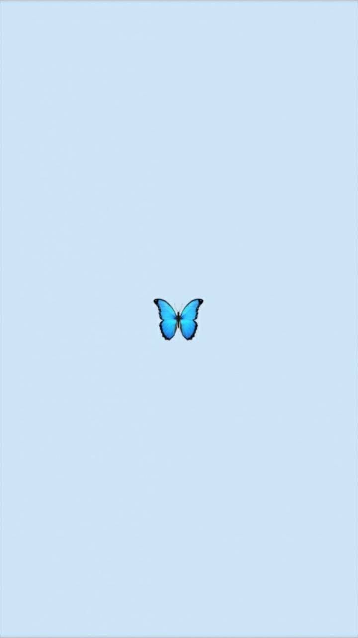 Blue Aesthetic Butterfly Wallpapers - Wallpaper Cave