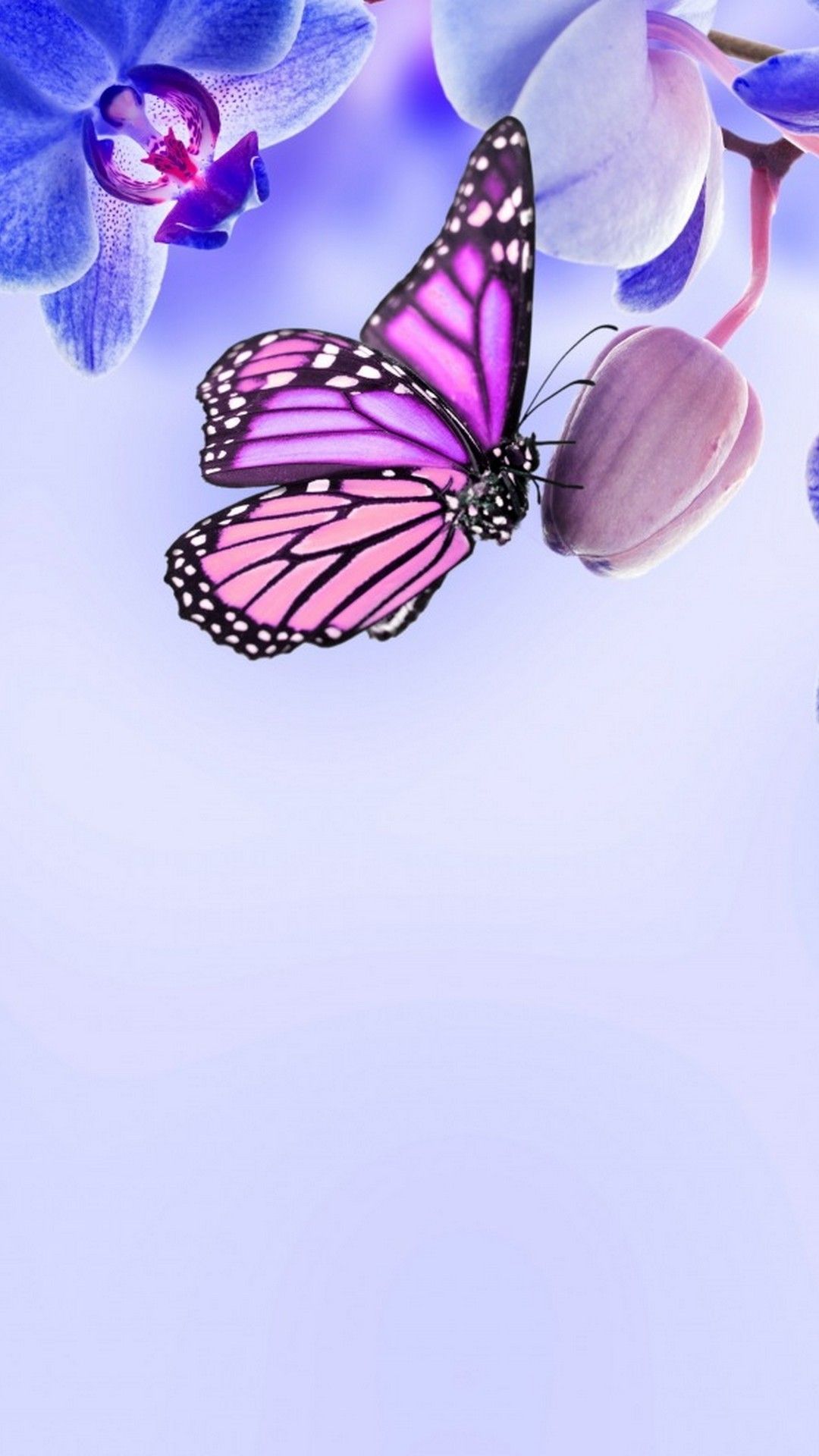Purple Butterfly Android Wallpaper Android Wallpaper
