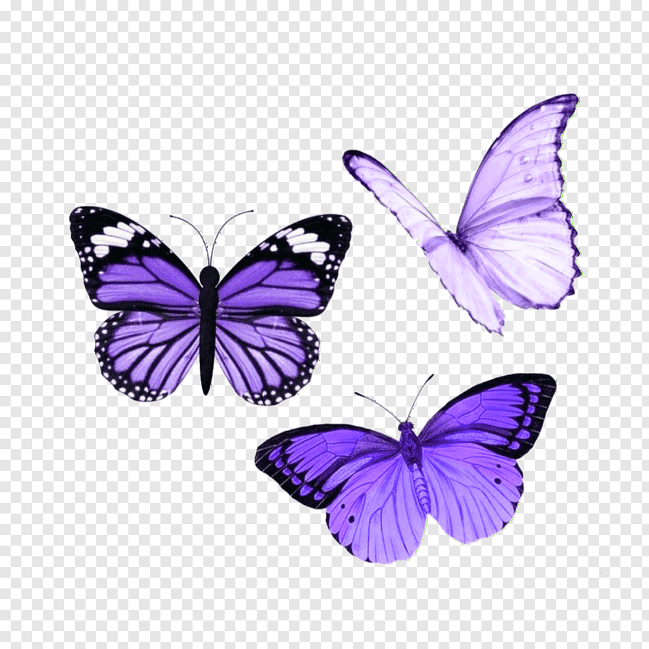 Purple Butterfly Aesthetic Wallpapers - Wallpaper Cave