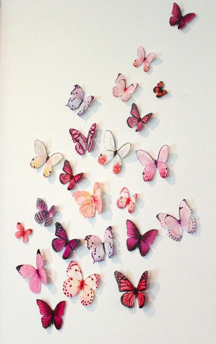 shell, butterfly, aesthetic and pink