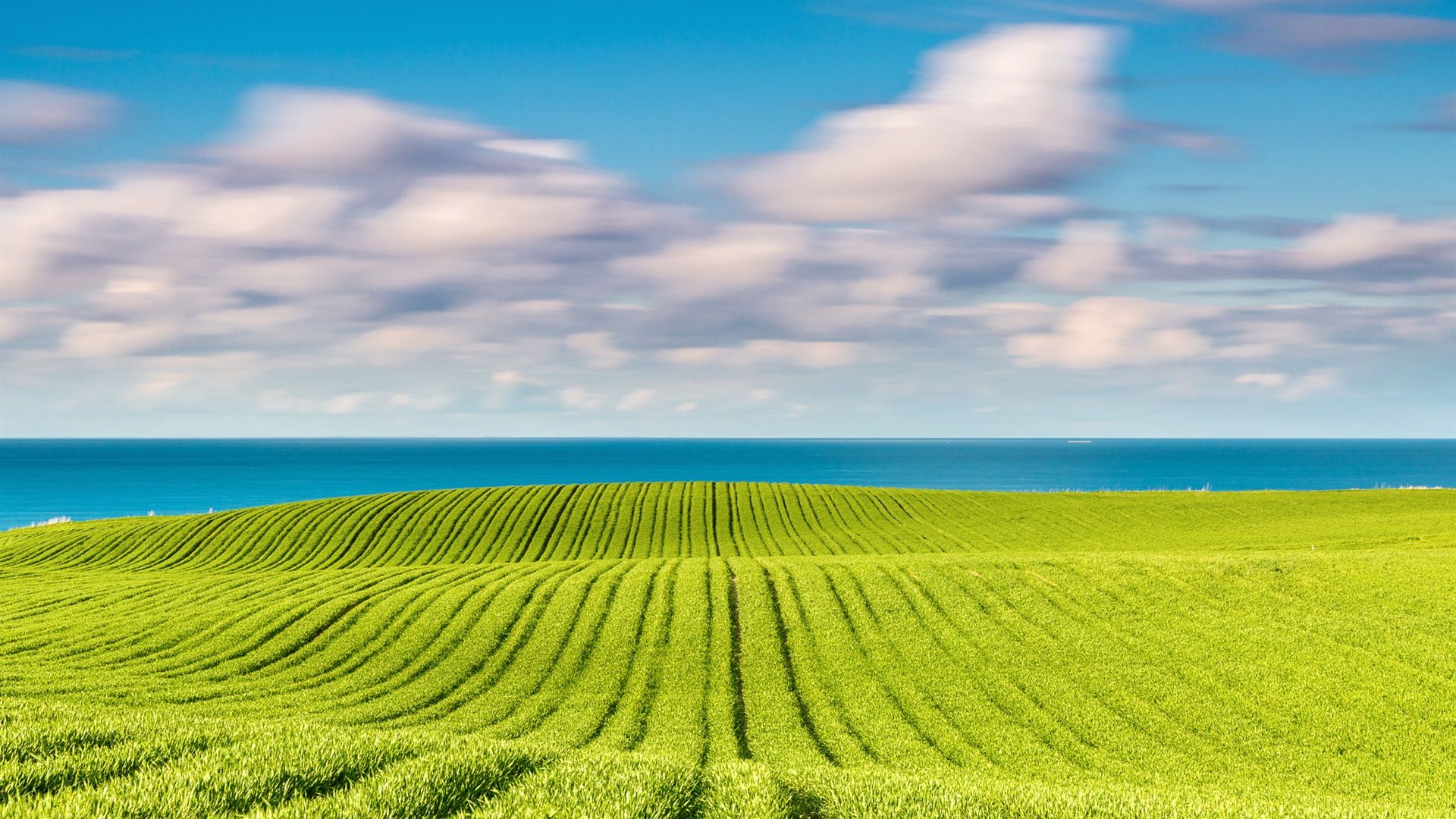 Wallpaper Baltic sea, spring in May, green fields 1920x1200 HD