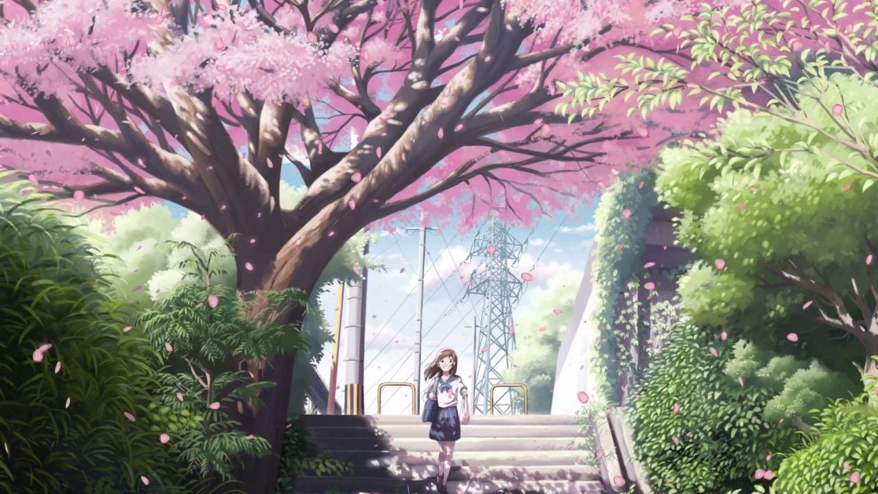 Anime Girl Relaxing Sakura Trees Live Wallpaper Free