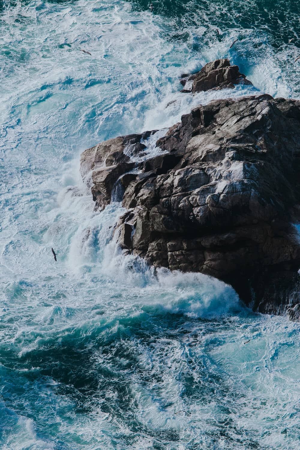 North America's West Coast Landscapes by Ivana Cajina. Waves
