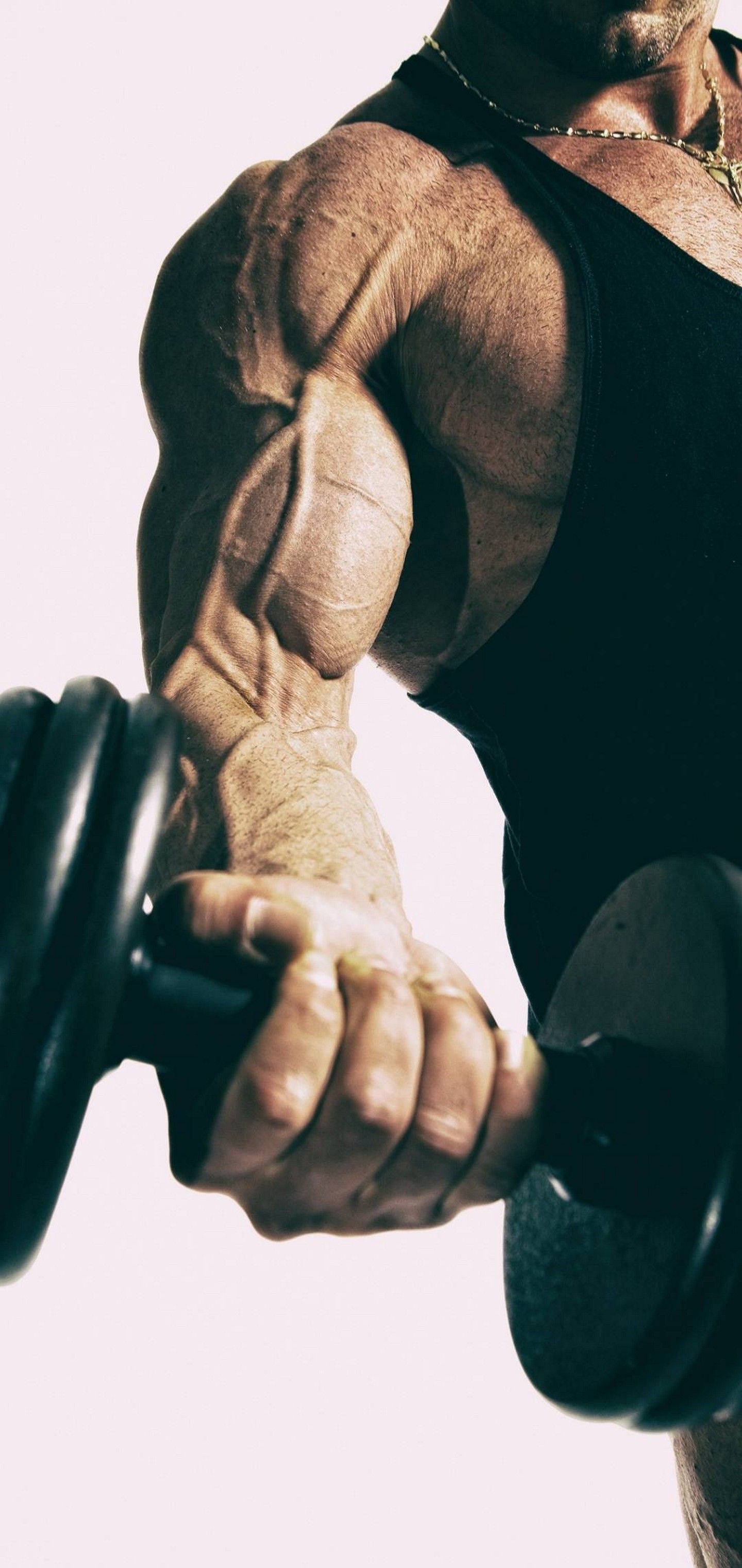 Pushup Body Building Dumbells Wallpaper - [1440x3040]