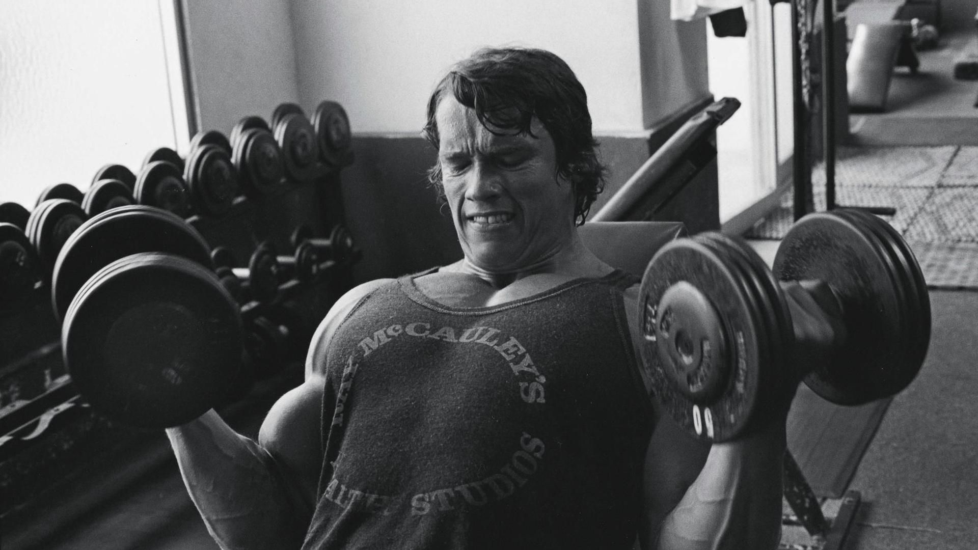 wallpaper arnold schwarzenegger, sports, bodybuilding HD
