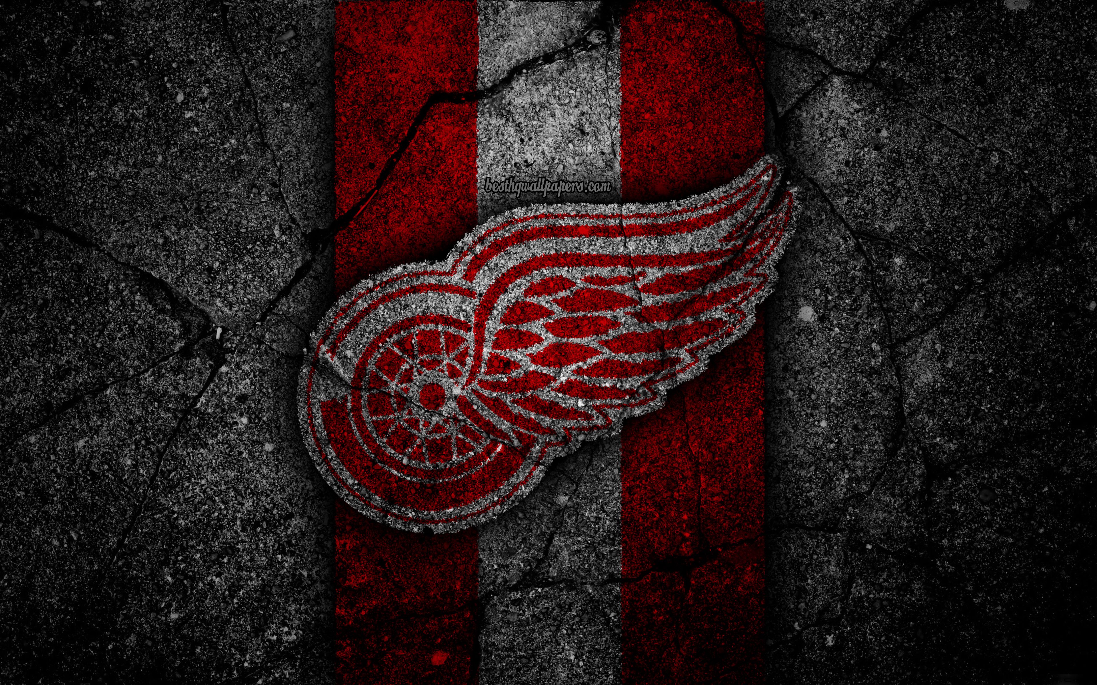4k, Detroit Red Wings, Logo, Hockey Club, Nhl, Black