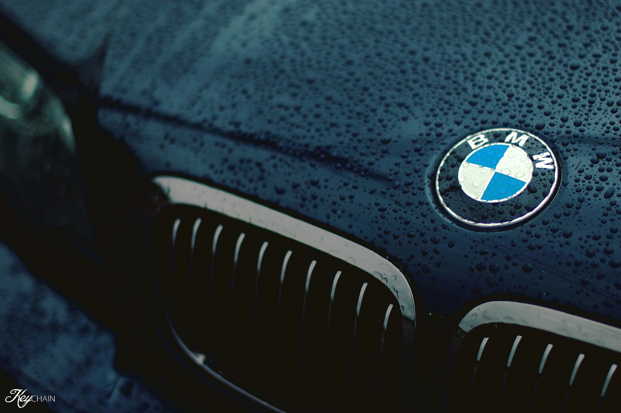Free download BMW Logo Wallpaper BMW Logo On Car [2048x1362]