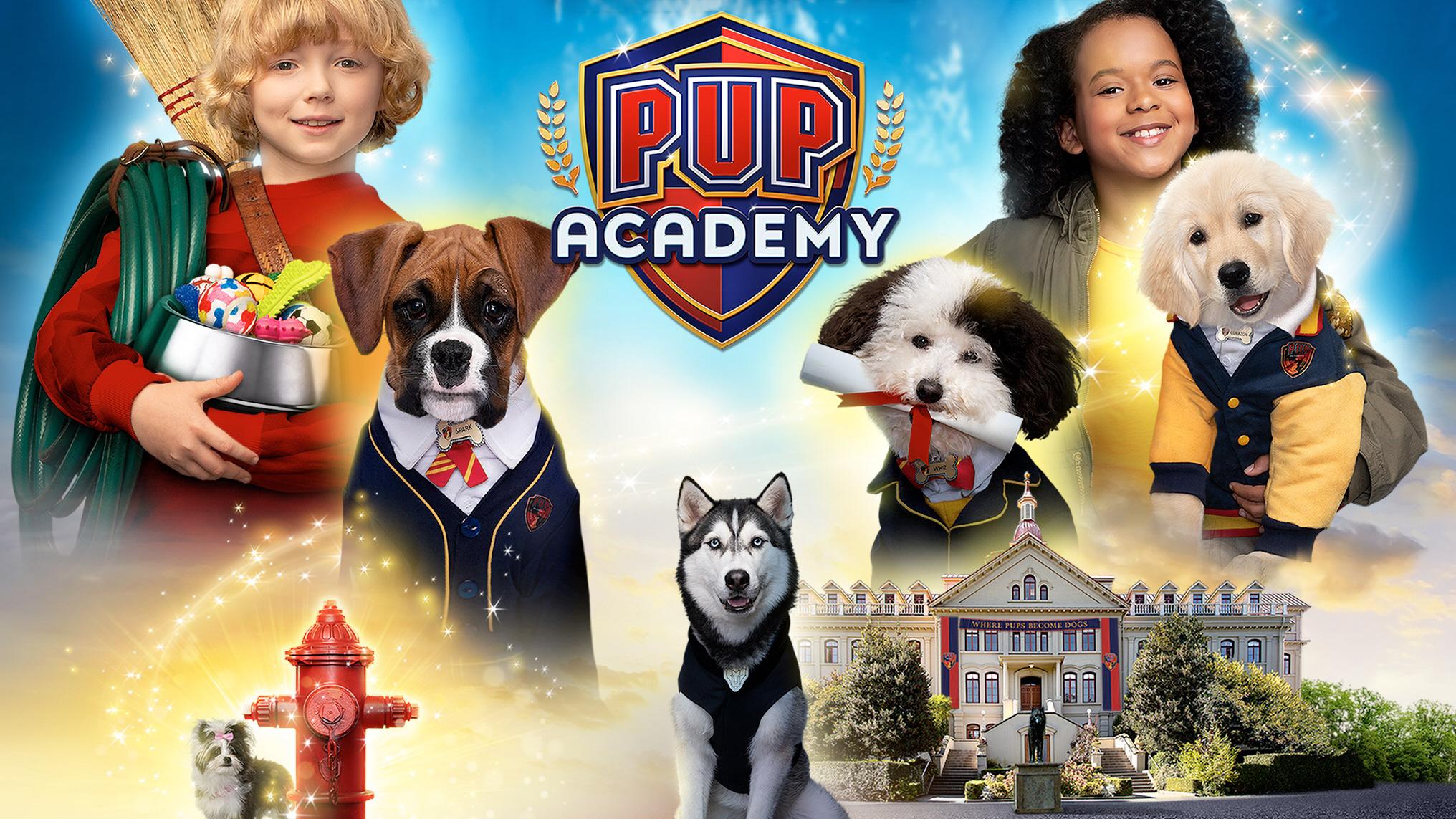 Stream And Watch Pup Academy Online