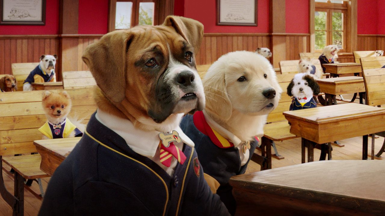 Pup Academy. Netflix Official Site