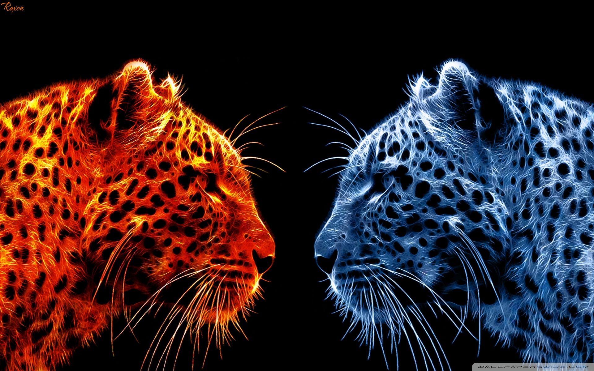 Fire Leopard vs Ice Leopard Ultra HD Desktop Background Wallpaper