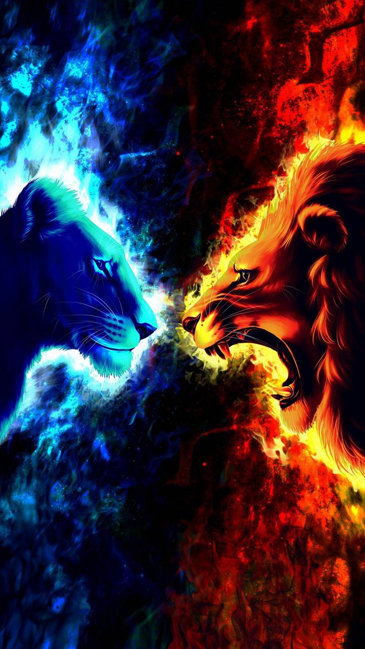 Fire and ice wallpaper