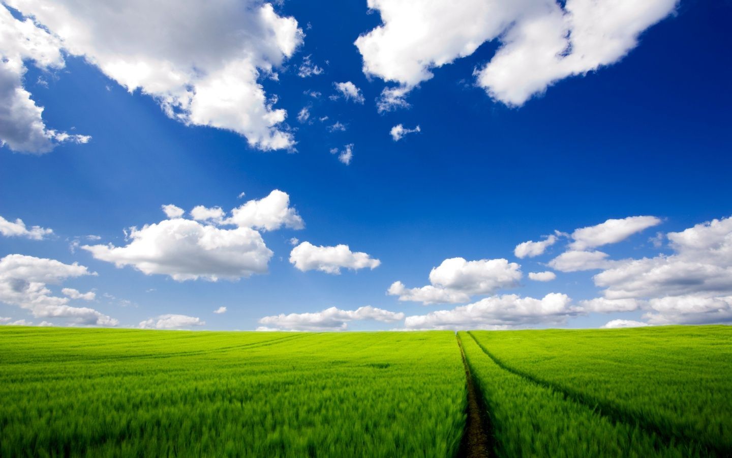 Climate is Not the Only Limit to Agriculture. Blue sky wallpaper