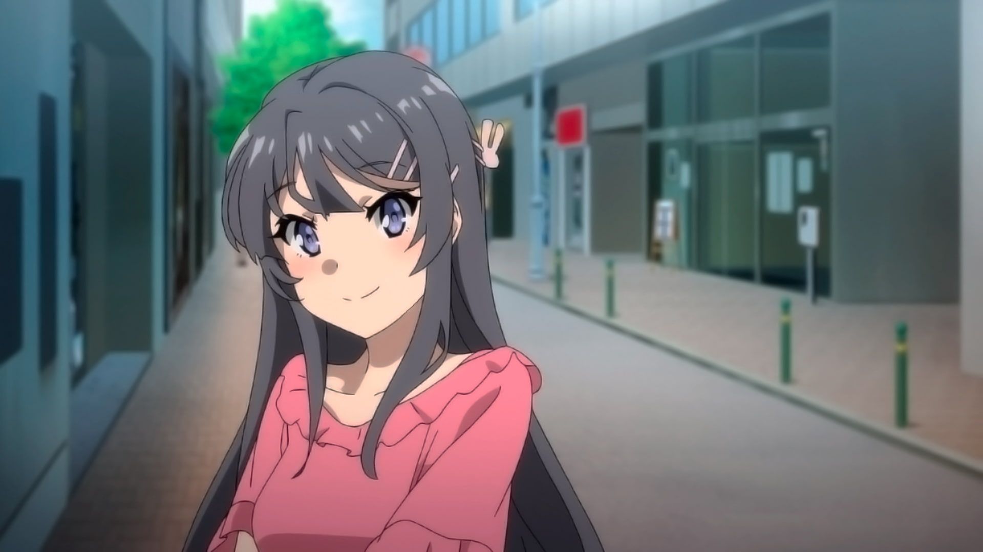 Bunny girl senpai обои