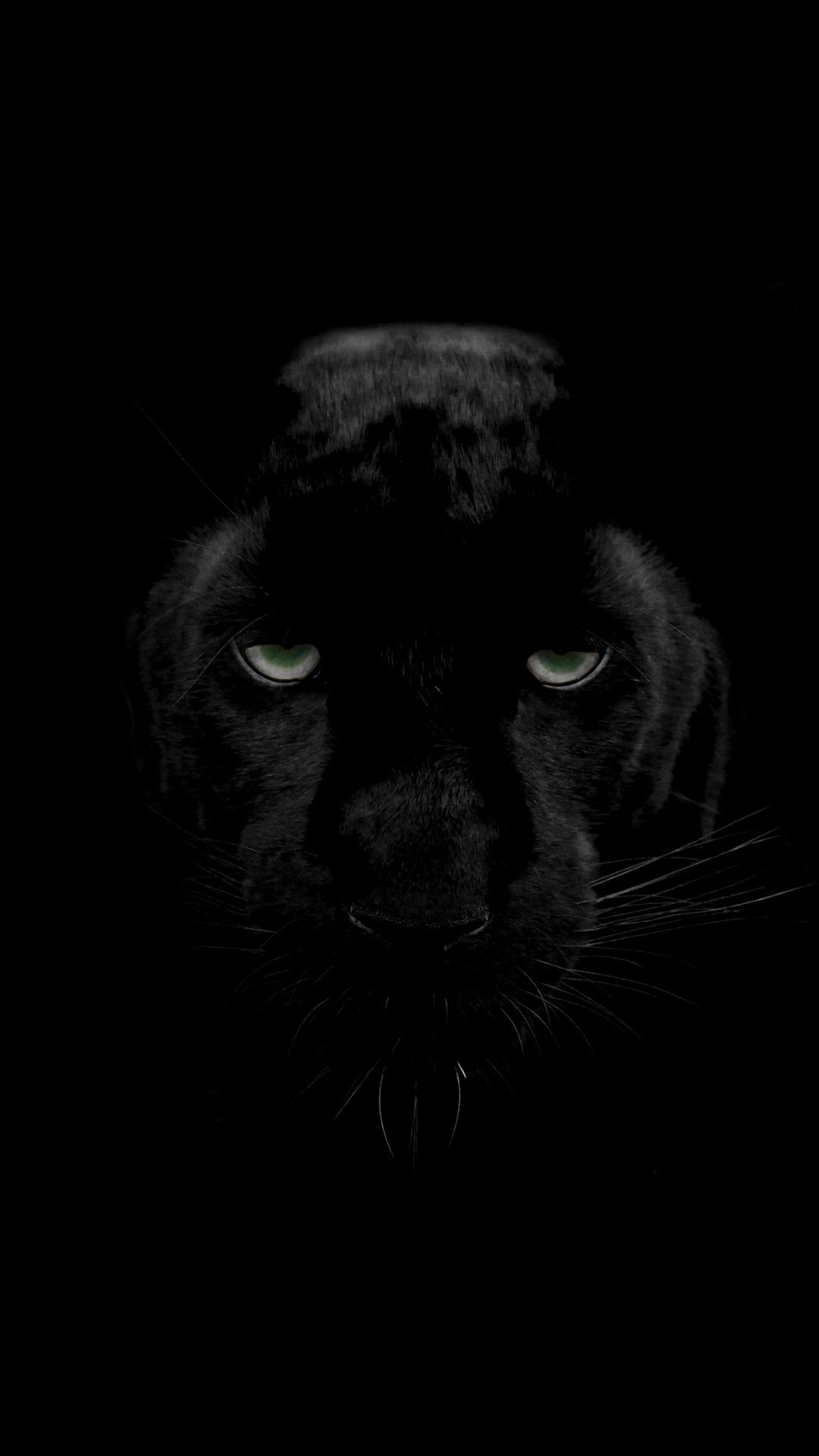 Black Panther 4K Wallpaper