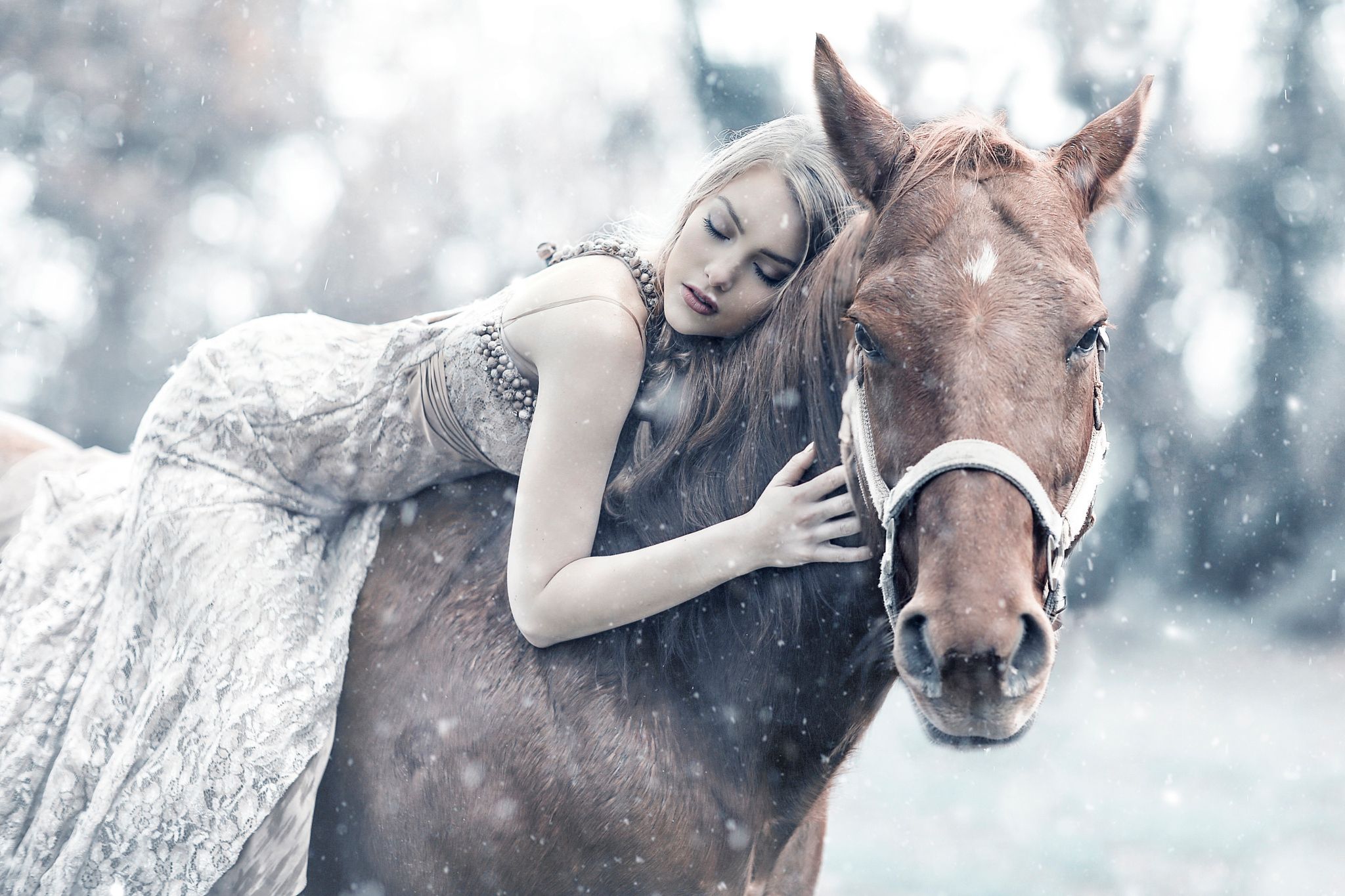 Horse HD Wallpaper and Background Image