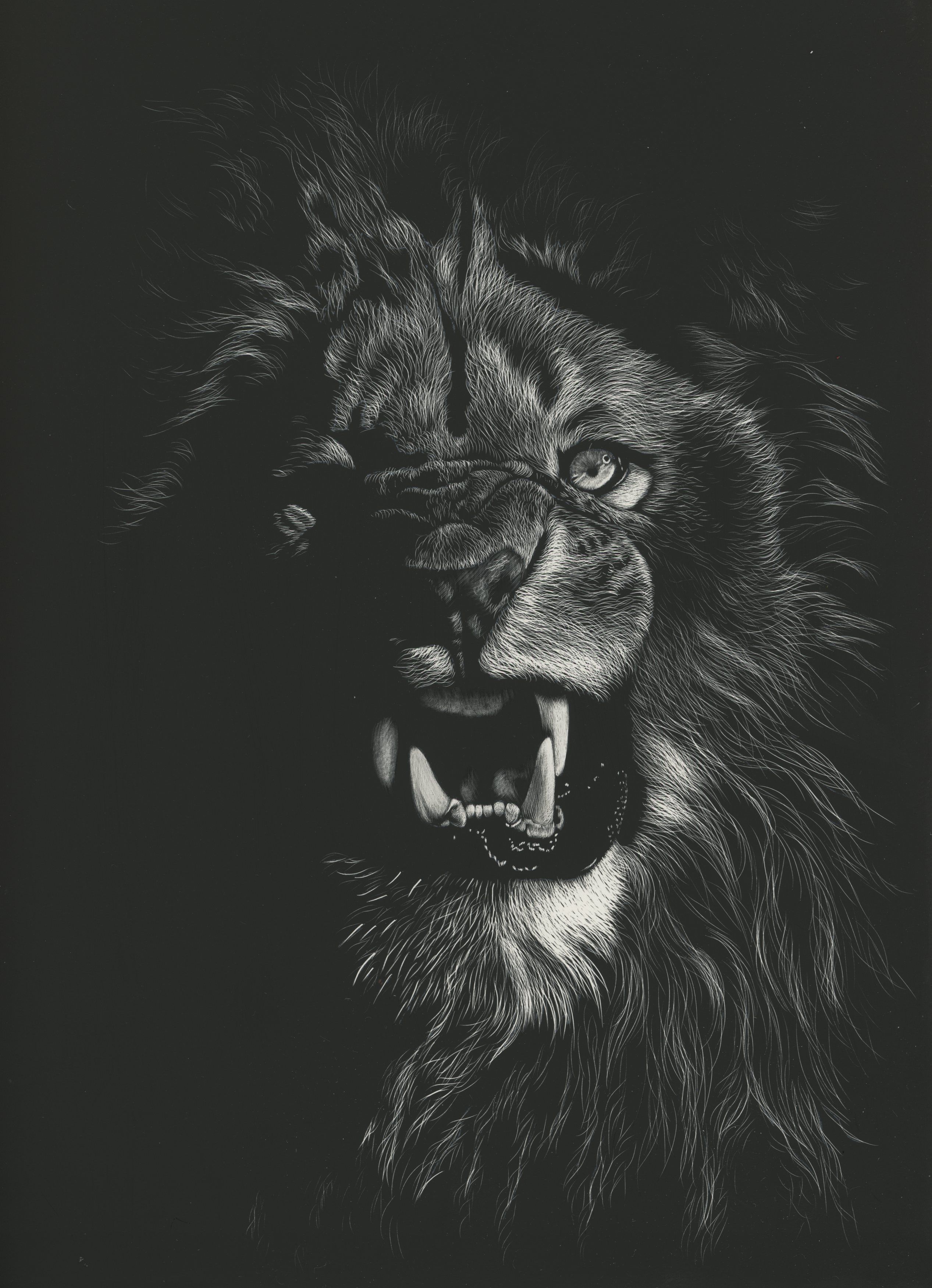 Desktop Wallpaper lion Big cats Canine tooth fangs Roar 2534x3502