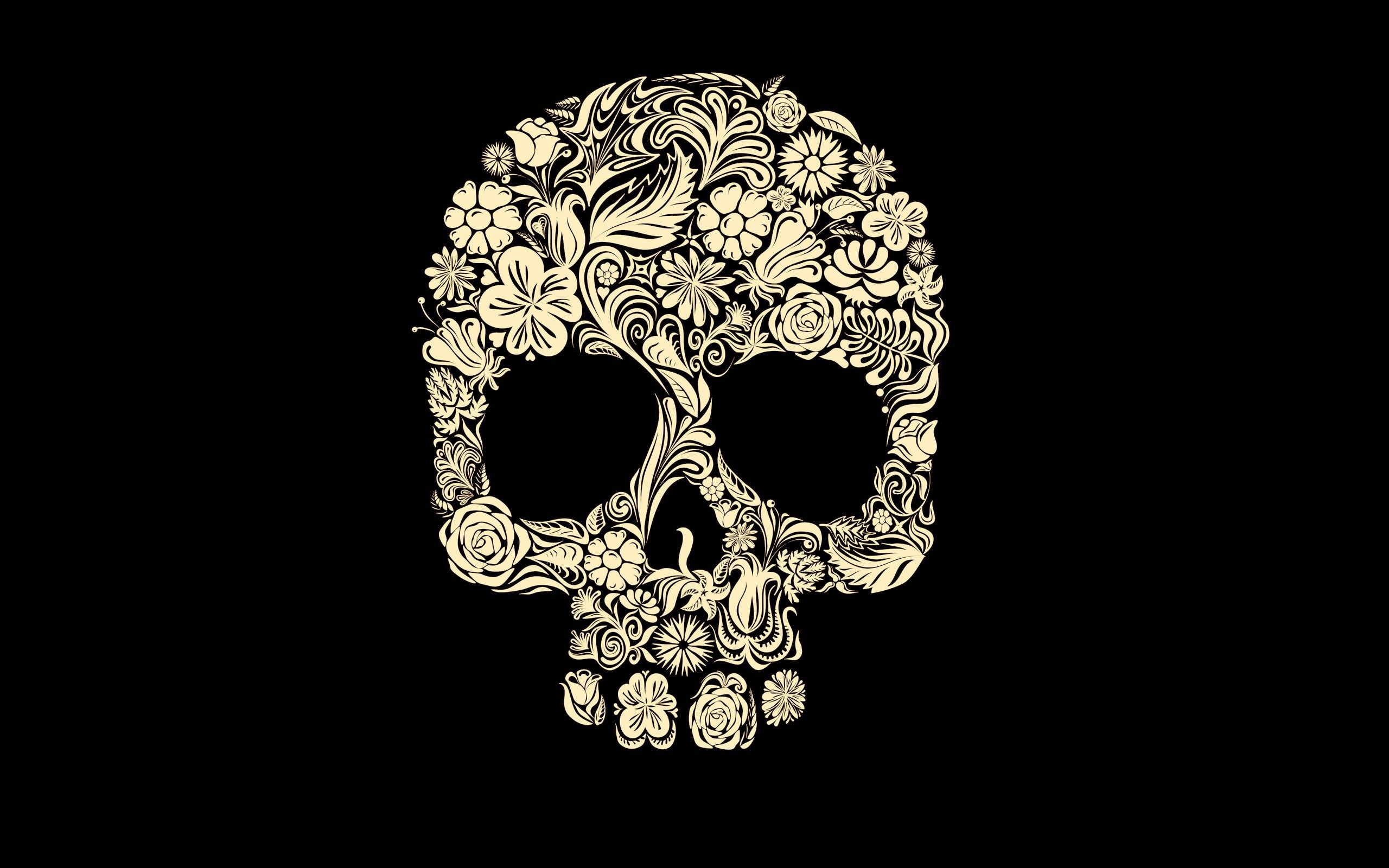 Free download Dark Skull Wallpaper 2560x1600 Dark Skull 2560x1600