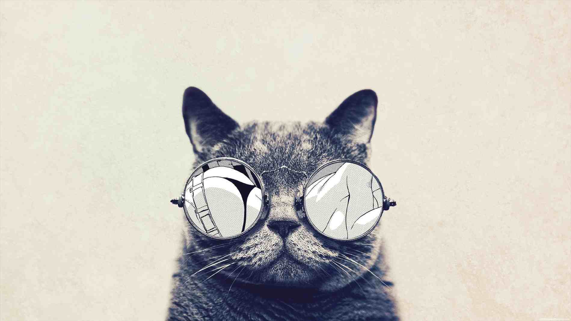 tumblr hipster backgrounds cats