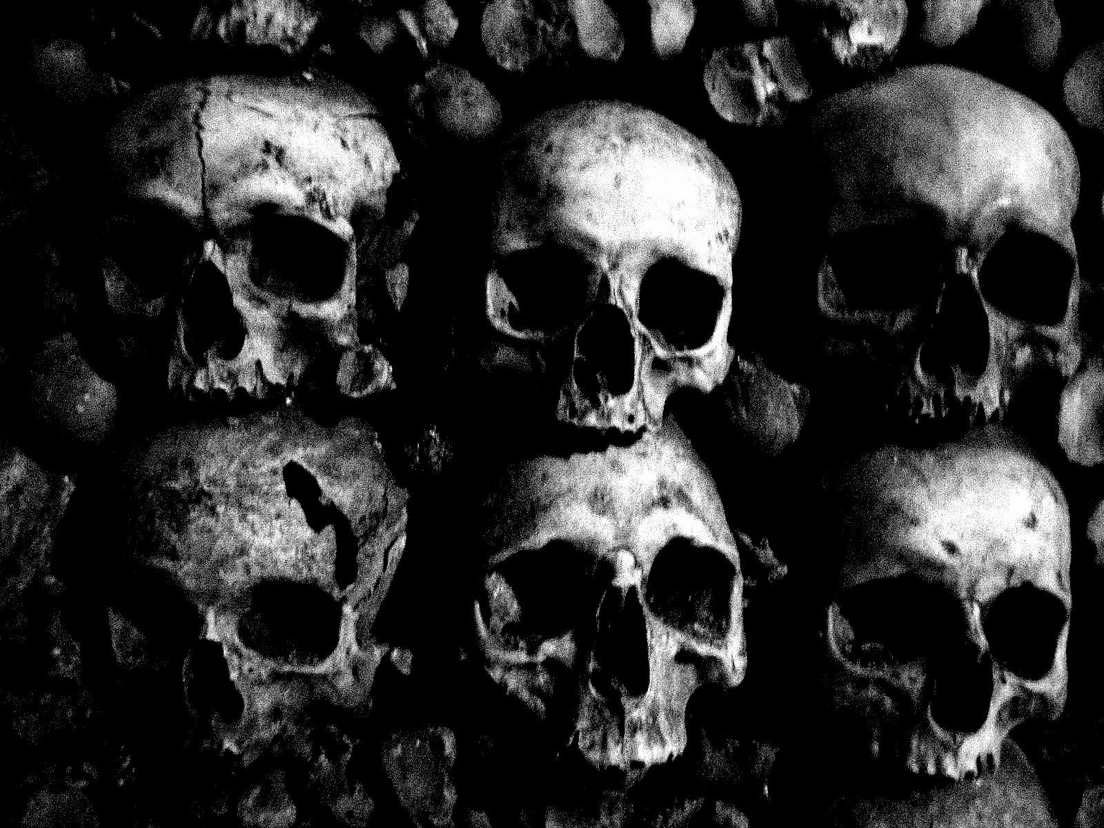 tumblr backgrounds black and white skulls
