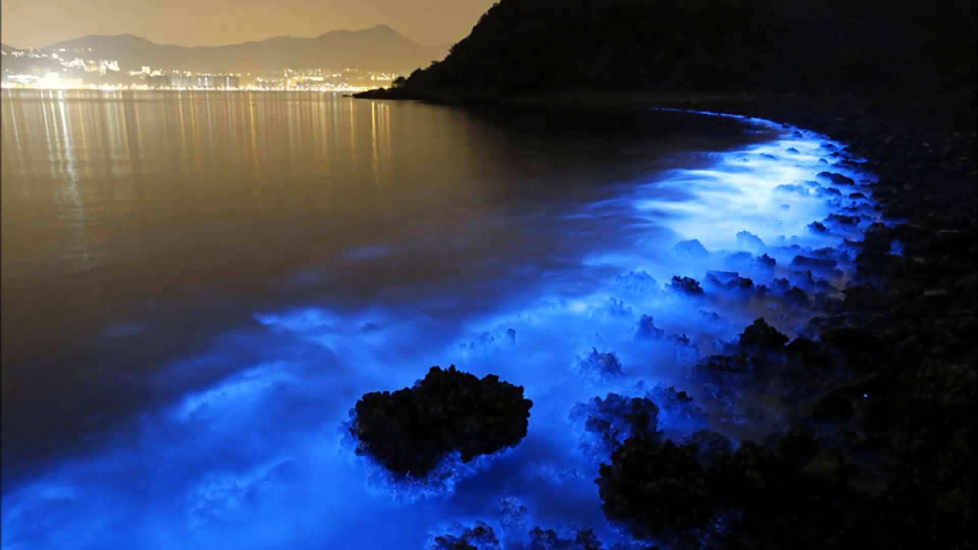 Hong Kong Seas Glow Blue from Bioluminescent Plankton Caused