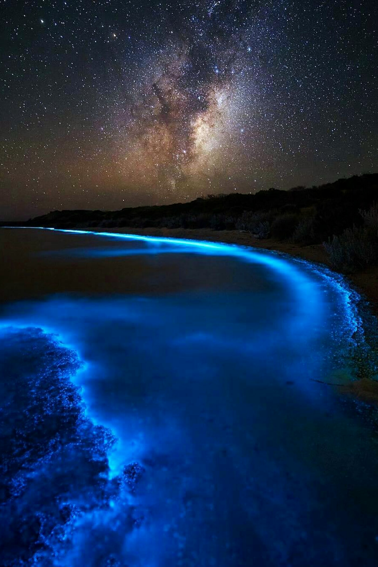 hellchildjavo: “Bioluminescent Bay by James Garlick ”