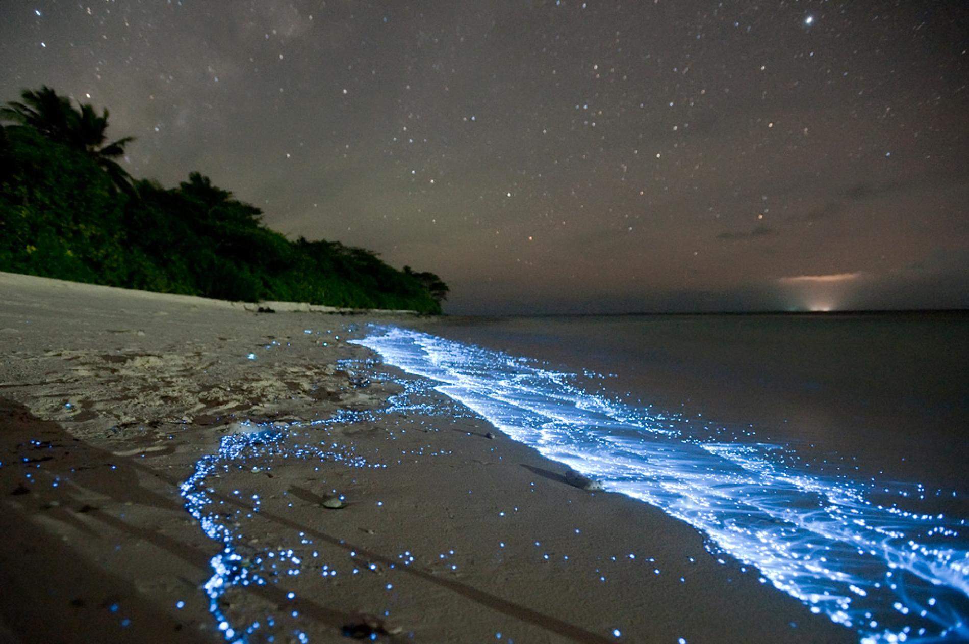 Picture: Glowing Blue Waves Explained