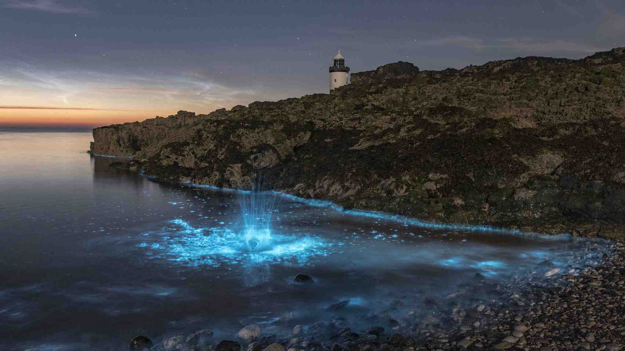Bioluminescent plankton light up the tranquil ocean in Wales