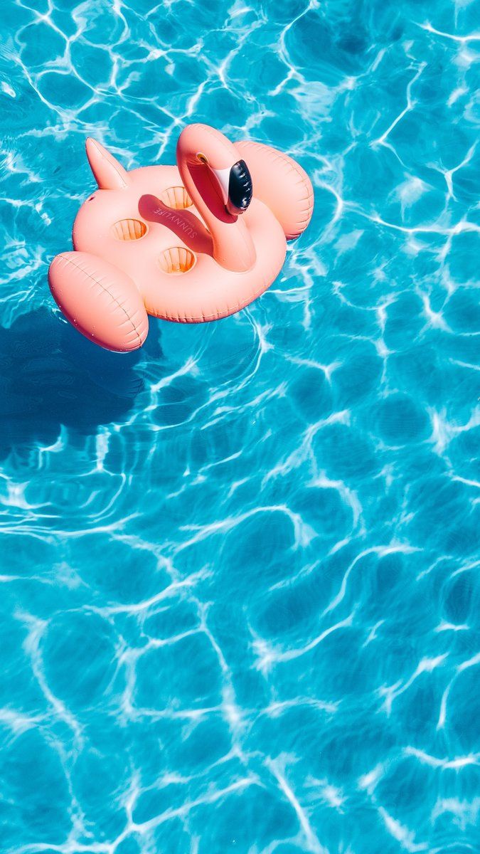 Pool, water, flamingo, summer wallpaper, background