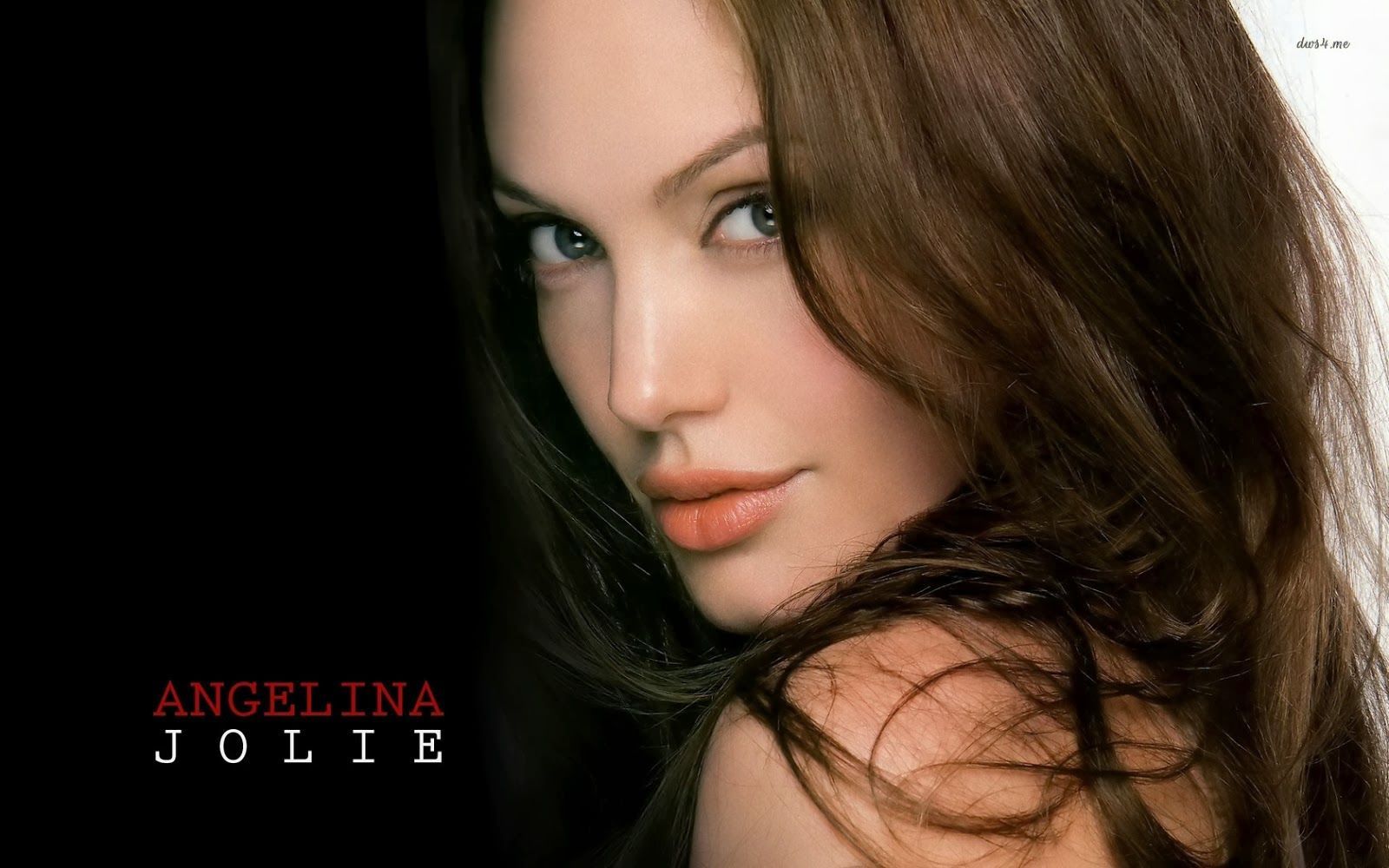 Angelina Jolie HD Wallpaper Free Angelina Jolie HD