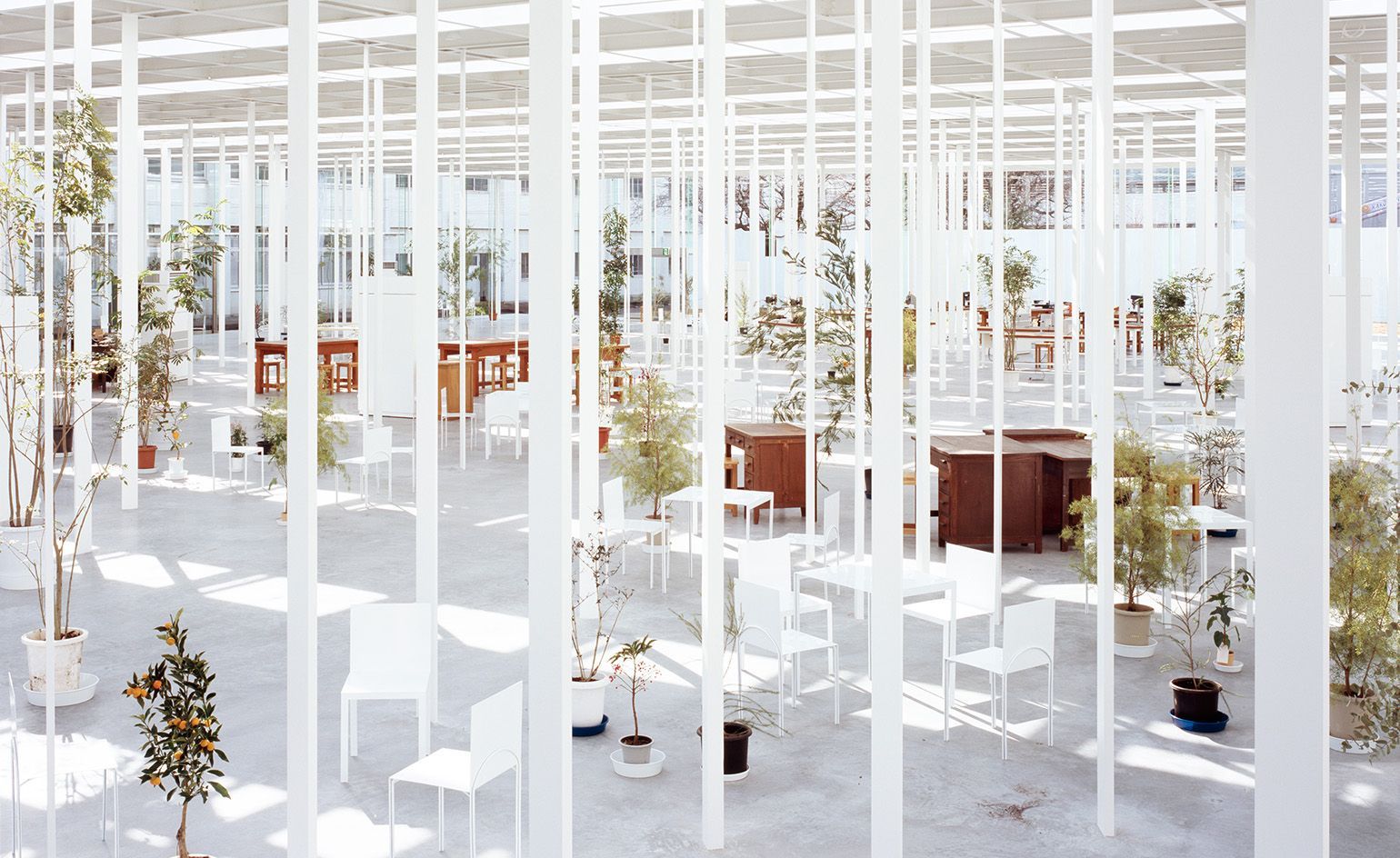 Worthy winner: Jun'ya Ishigami scoops top international