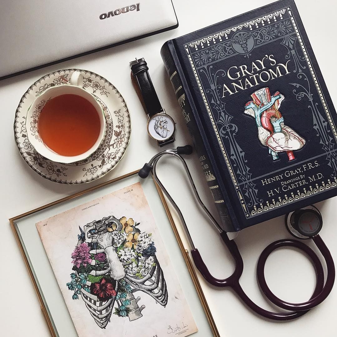 Medical Flatlay, Gray's Anatomy, Grey's Anatomy, Codexanatomicus