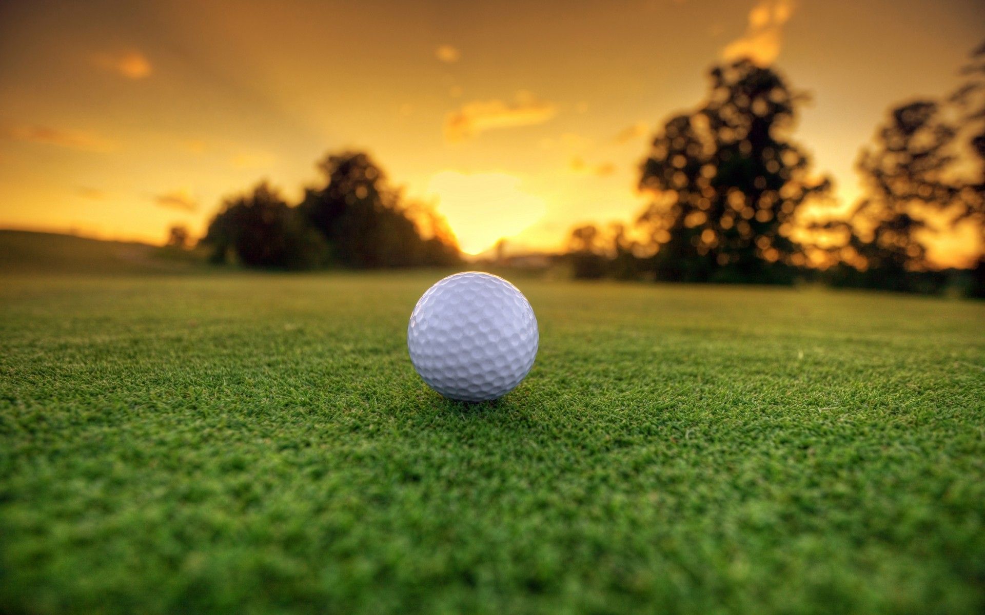 Photo Wallpaper Grass, Landscape, Golf Ball, Sun Dawn