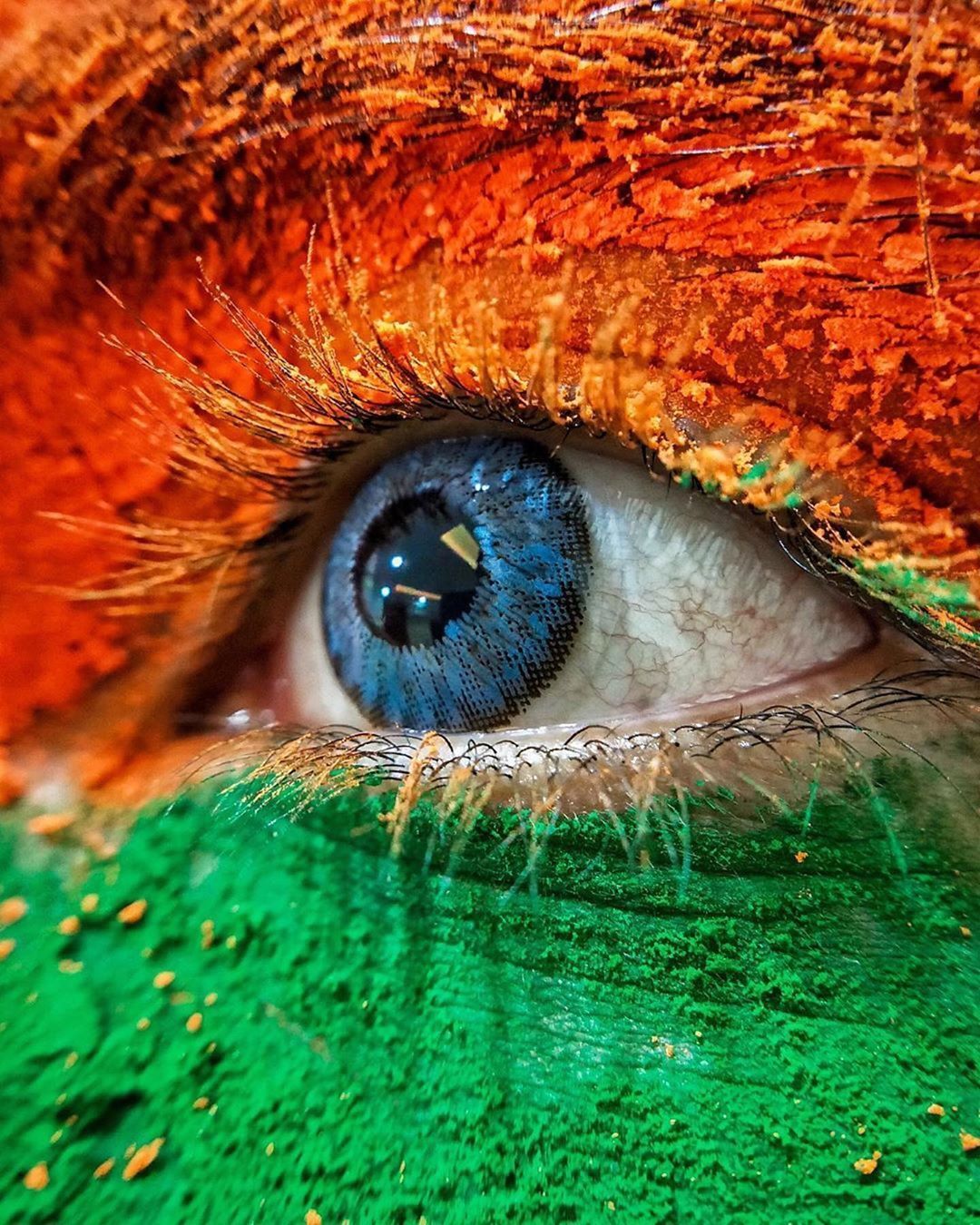 Indian flag of india Images and Stock Photos. 10,025 Indian flag of india  photography and royalty free pictures available to download from thousands  of stock photo providers.