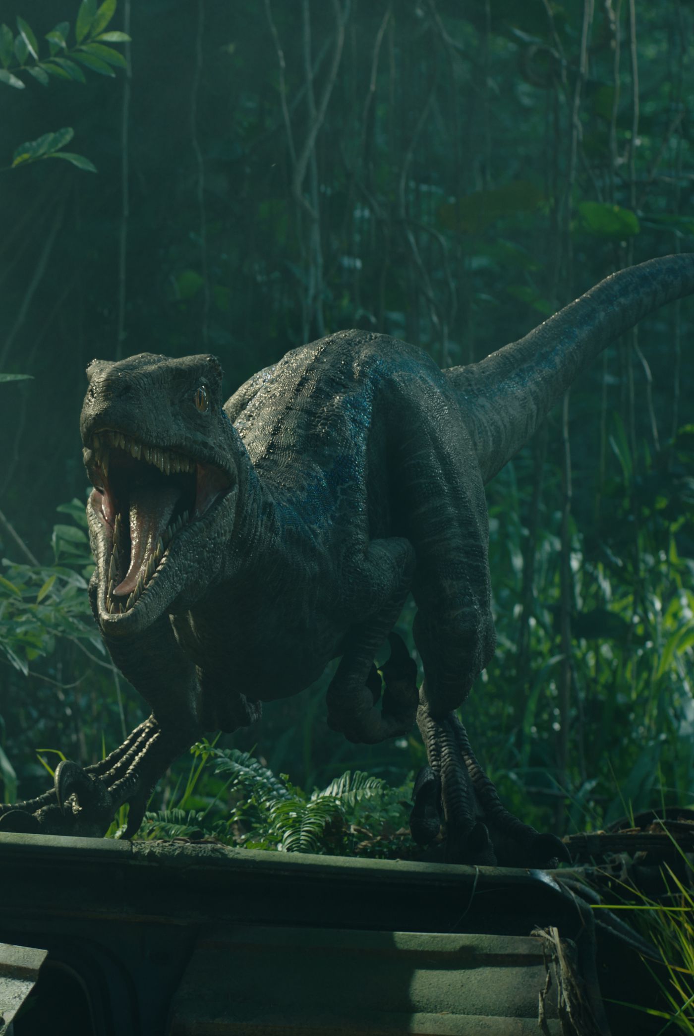 Jurassic world последняя. Парк Юрского периода 2015. Мозазавр парк Юрского периода 2. Мир Юрского периода 3. Мир Юрского периода: Падшее королевство.