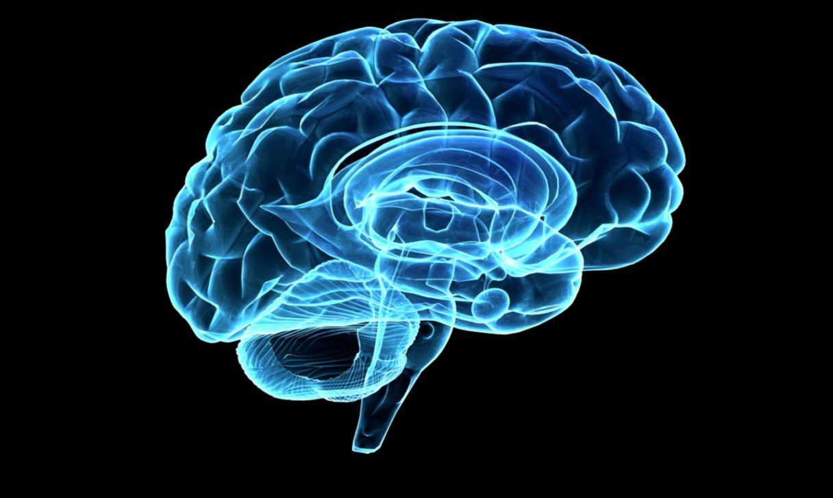 Brain Cool Wallpaper