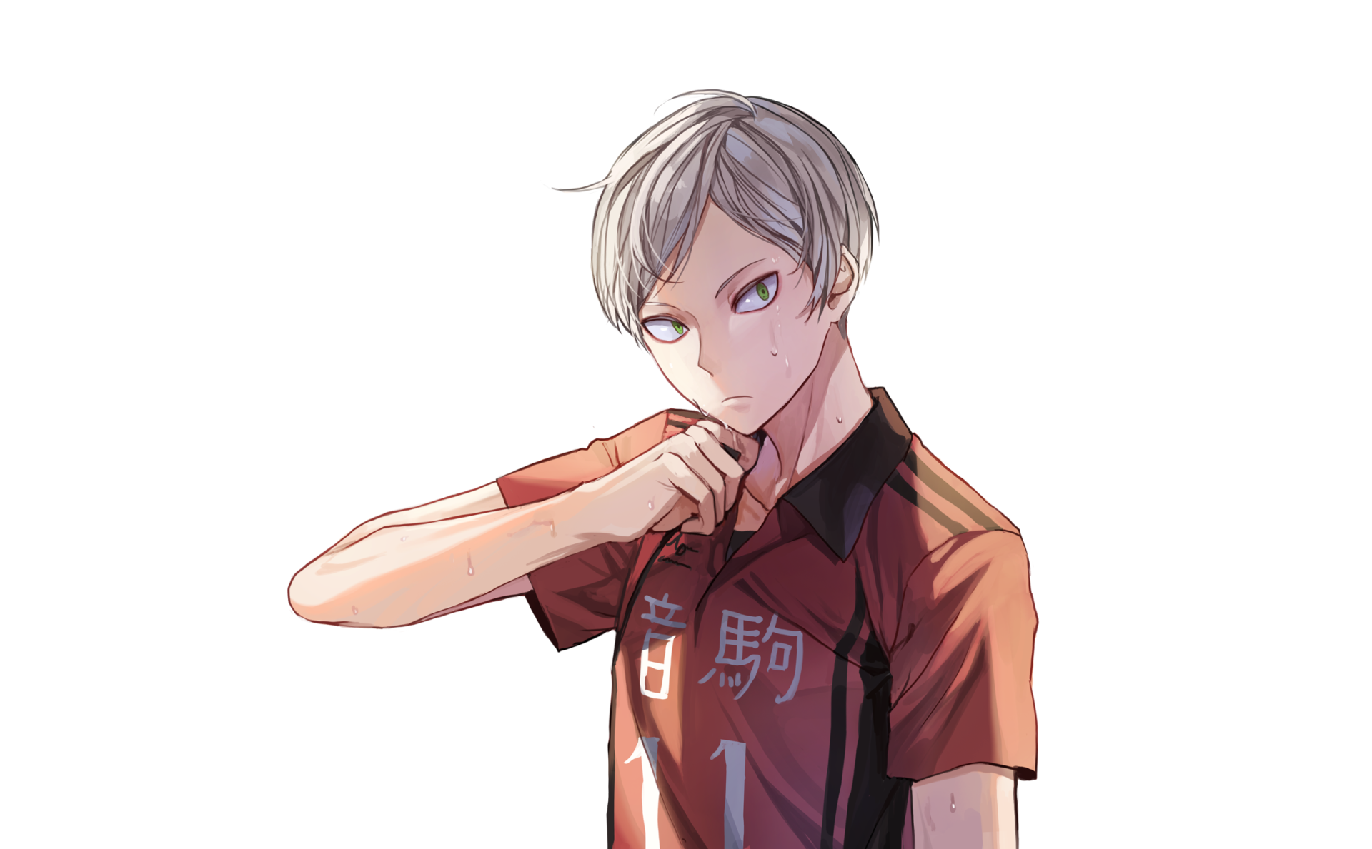 lev haiba merch