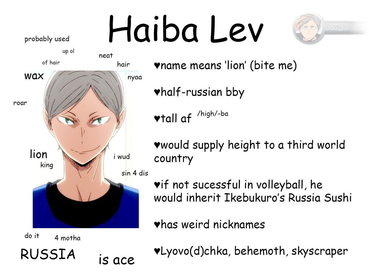 lev haiba merch