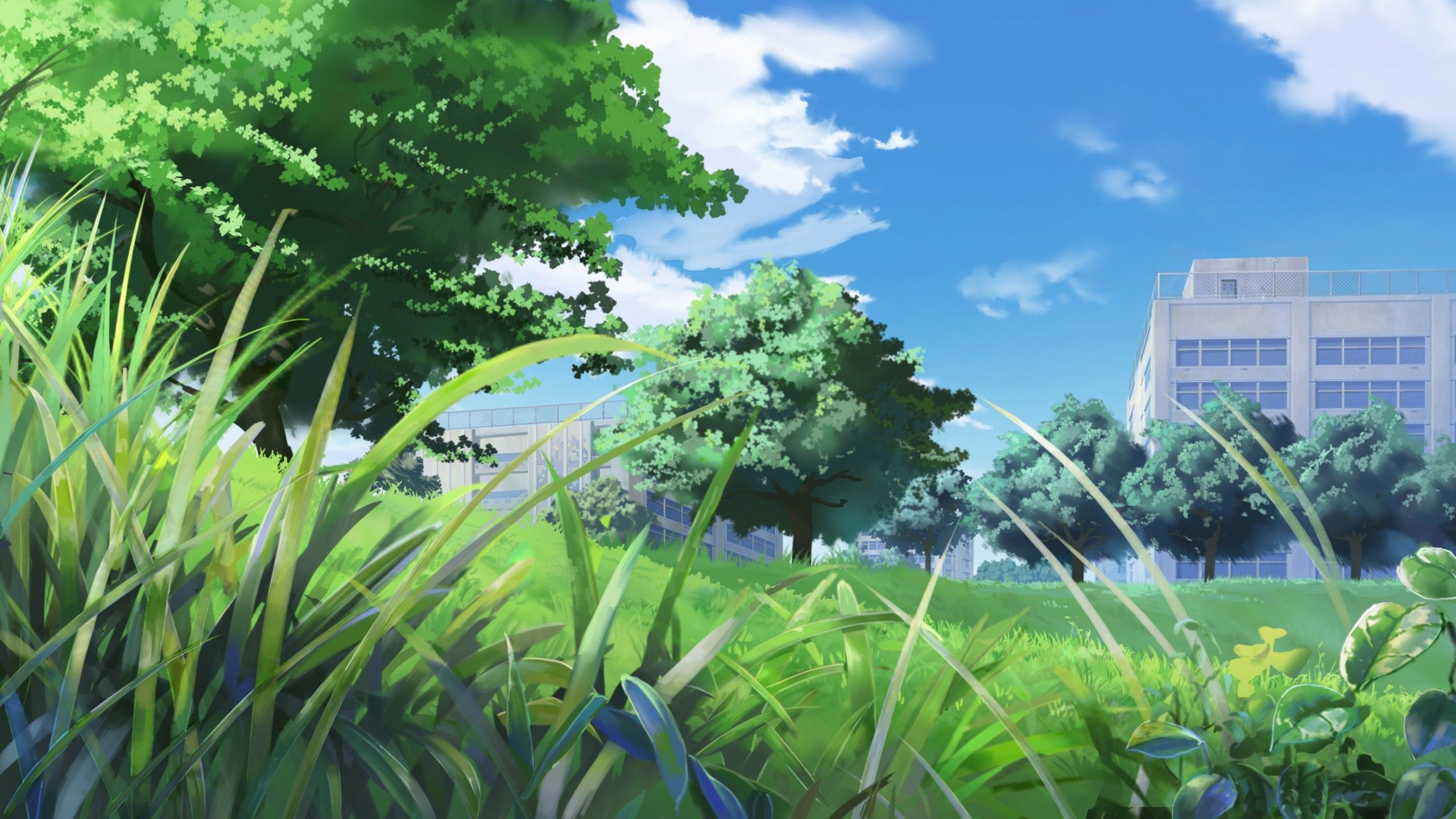 Download 2560x1440 Anime Landscape, School, Field, Grass, Trees