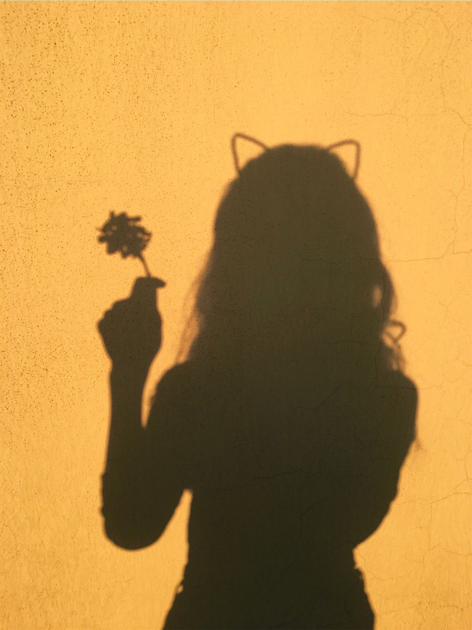Awesome Vsco Girls Wallpaper Shadow. Yellow