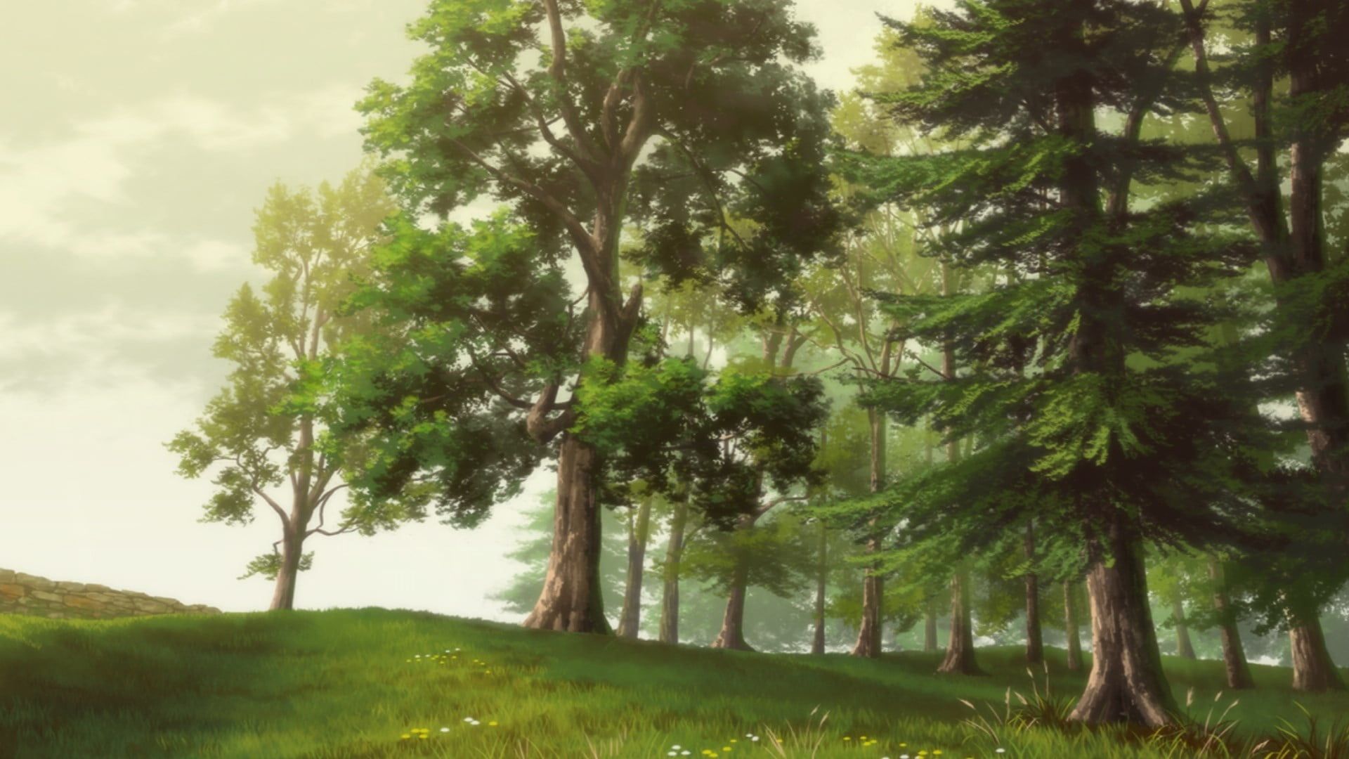Tree and grass covered field illustration, anime, trees, nature HD