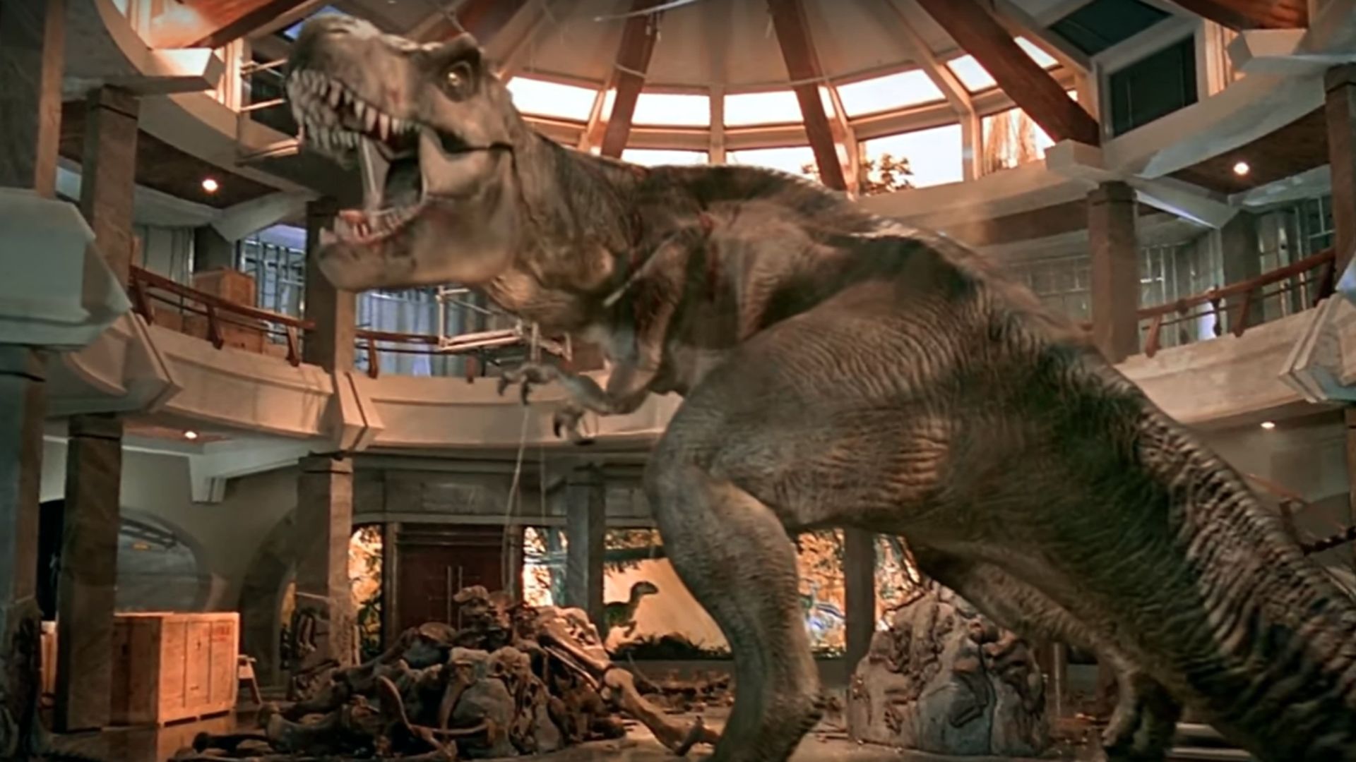 T Rex Jurassic Park Film Wallpapers Wallpaper Cave